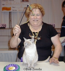 Purrtek's Chiianti